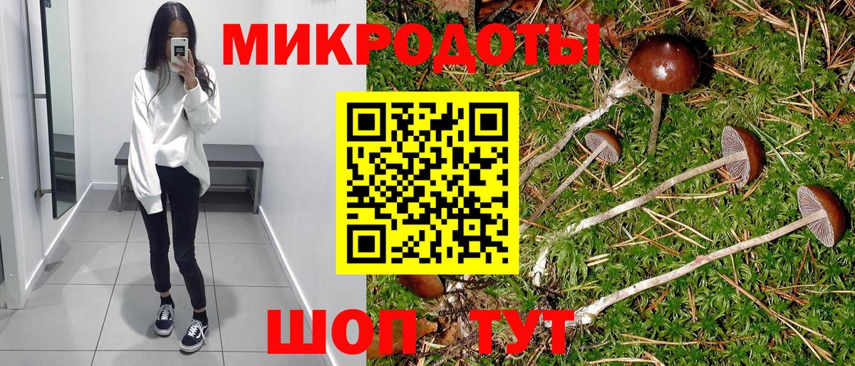 Малгобек  Галлюциногенные грибы прущие грибы  Вход с VPN  Галлюциногенные грибы GOLDEN TEACHER 